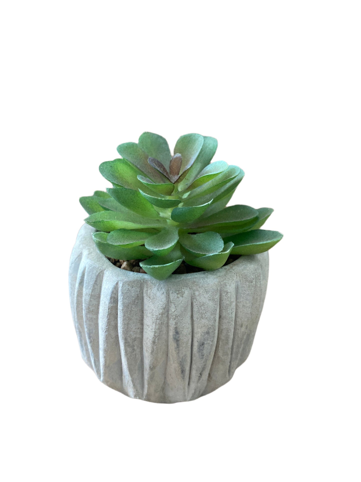 Plantita Decorativa Pequeña – Verde que te quiero verde