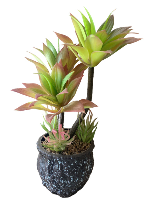 Planta con Árbol Decorativo – Naturaleza en miniatura para tu hogar 🪴