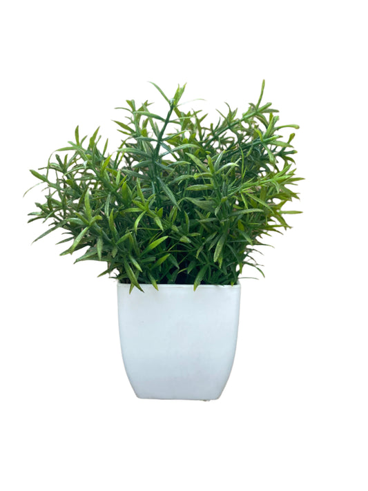 Maceta Pequeña con Planta – Toque natural y decorativo al instante 🪴
