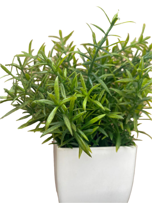 Maceta Pequeña con Planta – Toque natural y decorativo al instante 🪴
