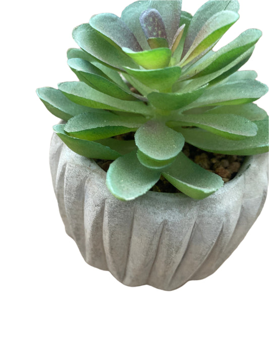 Plantita Decorativa Pequeña – Verde que te quiero verde